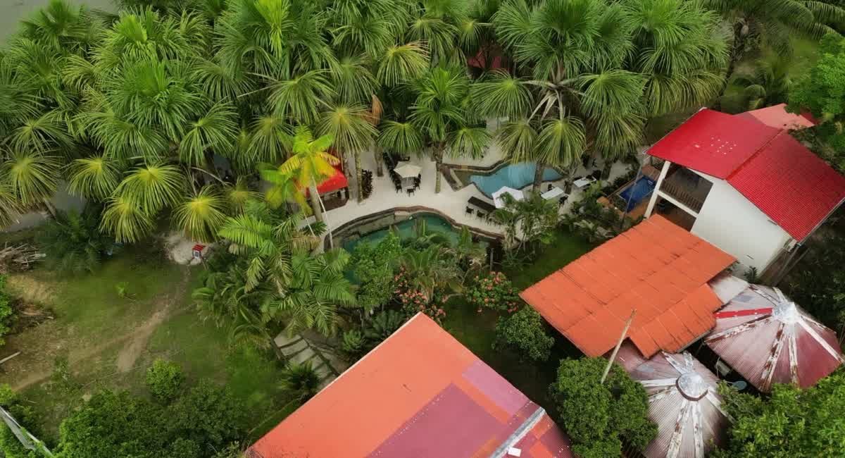Vista aérea del oasis completo: piscinas, jardín de palmeras y cabañas